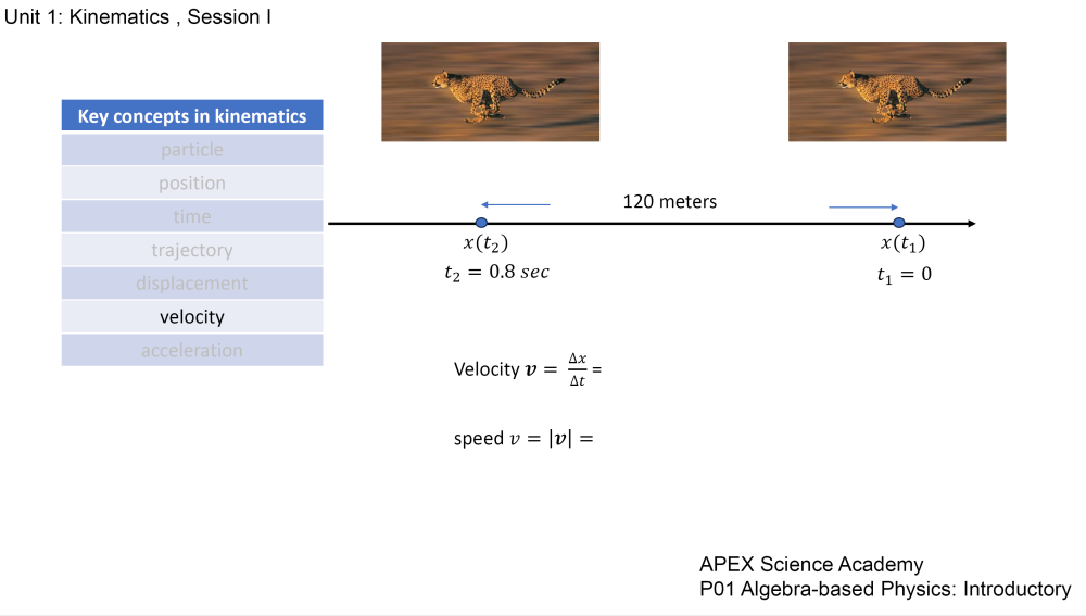 APEX P01: Algebra-based Physics Introductory